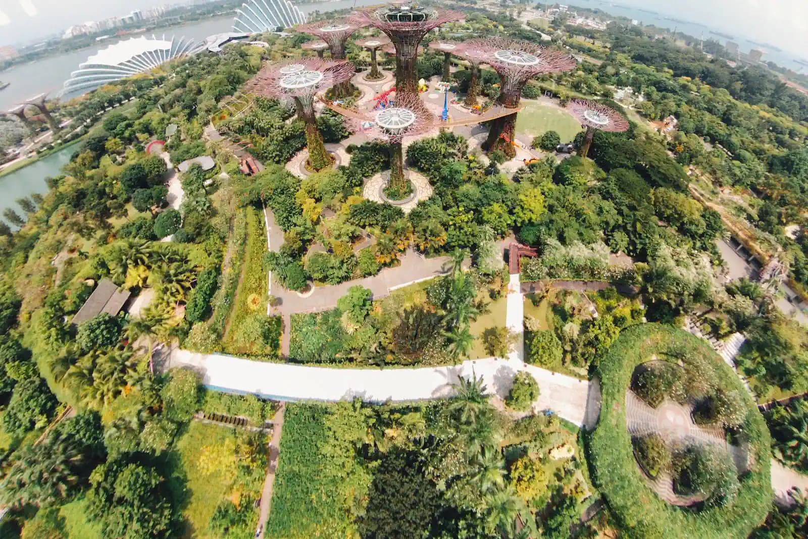 Gardens by the Bay seen from above in Singapore